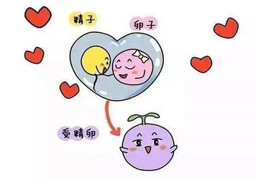 哪些因素影響泰國試管費(fèi)用多少
