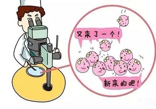 一次三代試管大概費(fèi)用多少